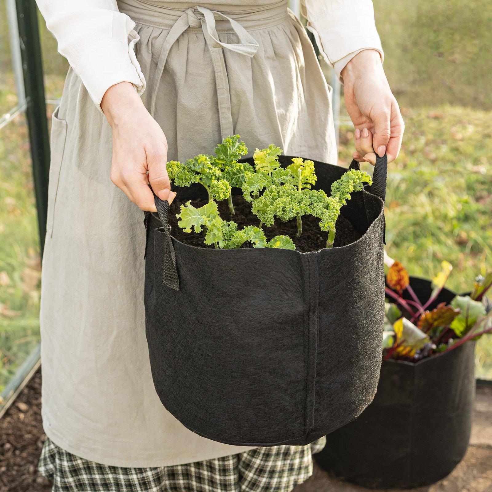 Grow Bags