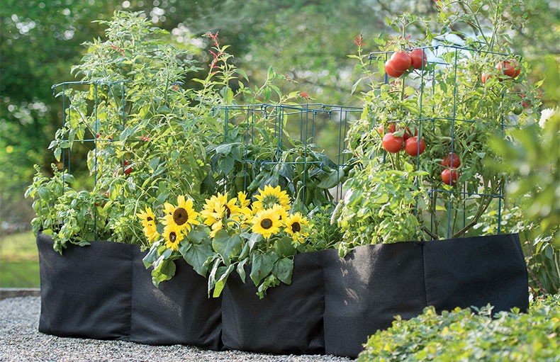Grow Bags & Plantation